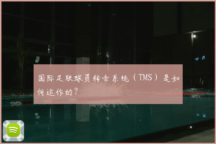 国际足联球员转会系统（TMS）是如何运作的？
